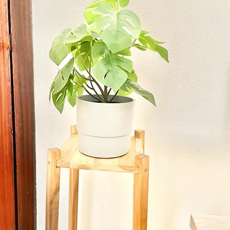 Casa Candida Parking Y Wifi Incluido Oviédo